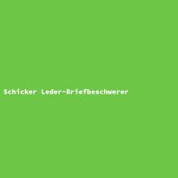Schicker Leder-Briefbeschwerer