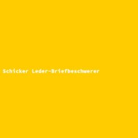 Schicker Leder-Briefbeschwerer