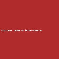 Schicker Leder-Briefbeschwerer